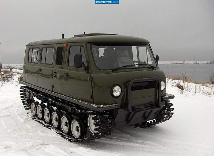 Зародыш БМП