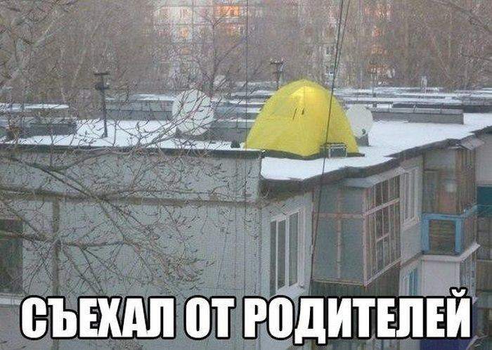 Теща в гости приехала...