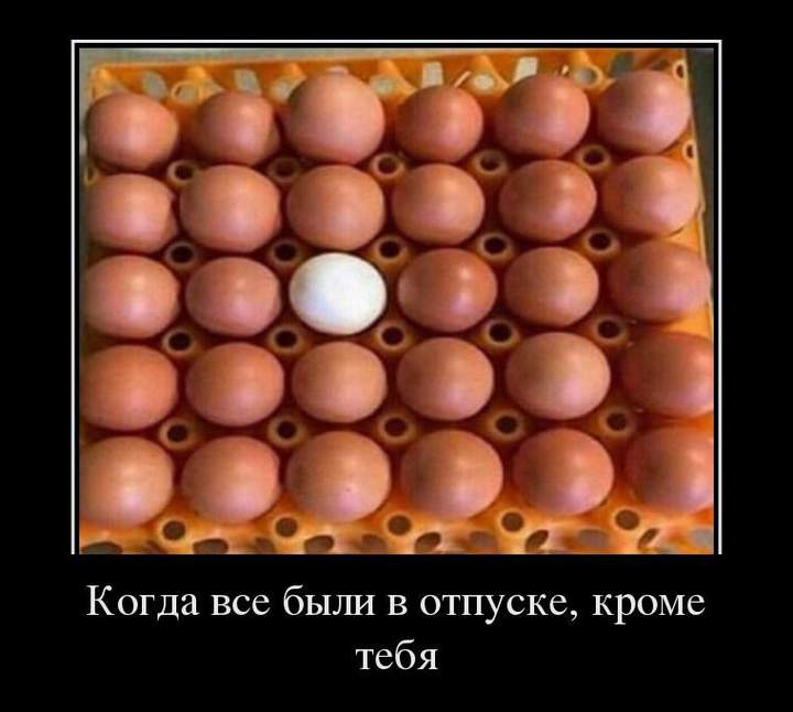 Когда ты живешь в Париже, в арабском квартале.