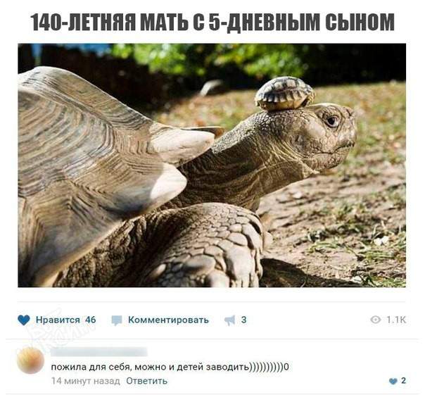 Дочка нагуляла, а бабушка возится...