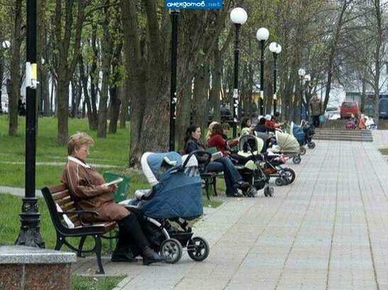Аисту пришлось потрудиться.