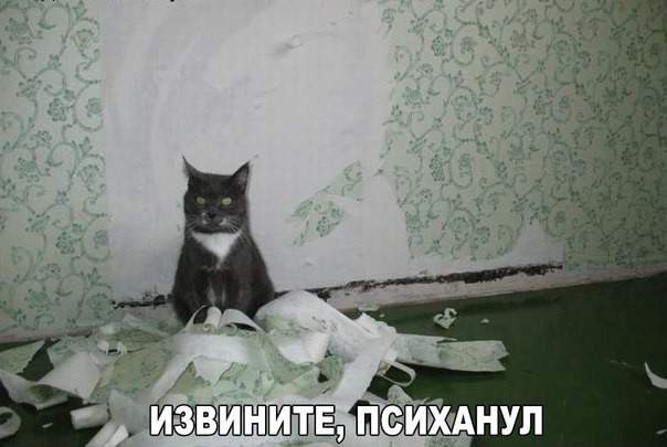 у меня весь коридор вот такой распсихованный