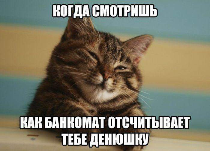 ... причем отчитывает денюжку корейцу