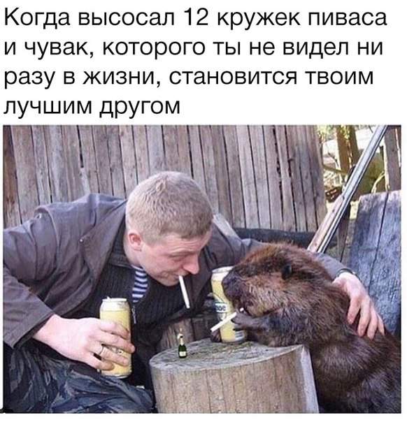 А рядом ружьё, из которого был убит этот зверёк.