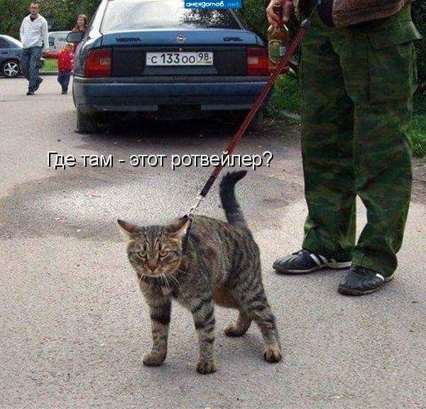 Хозяин района проверет свои владенья