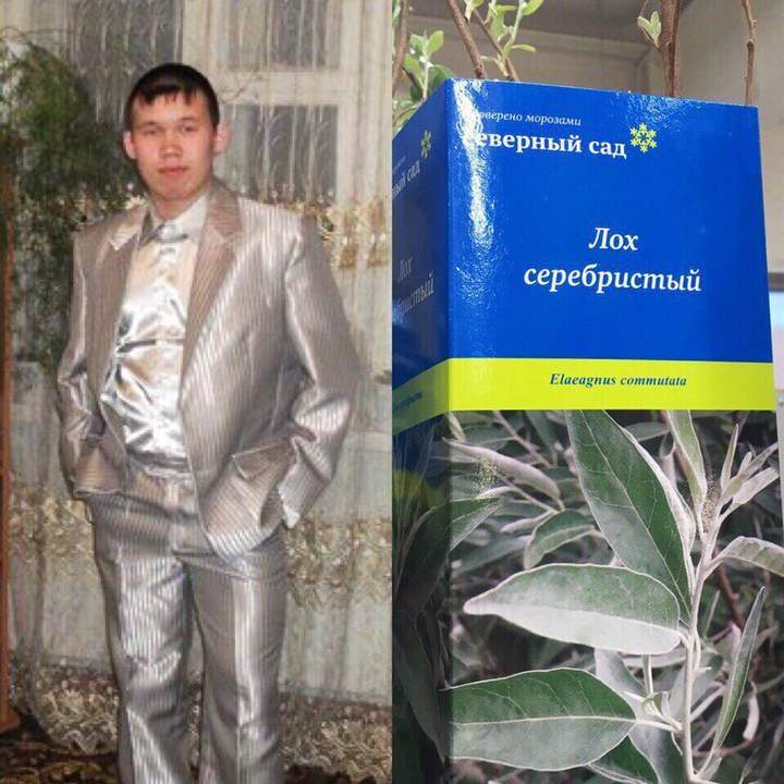 Ни убавить, ни прибавить...