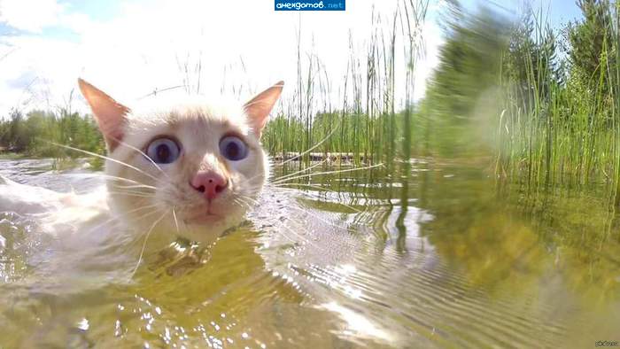 Ну падла, вылезу я тебе эту тепленькую водиску в апреле припомню!!!