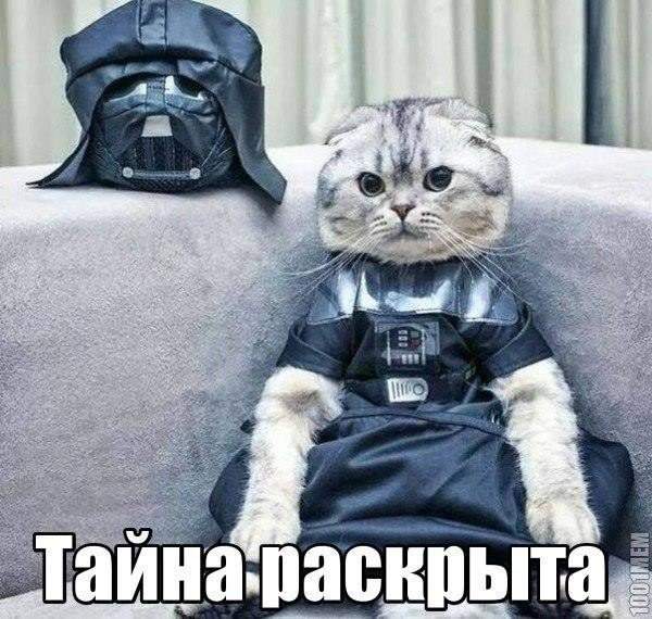 Ничего, Империя ещё нанесёт ответный удар