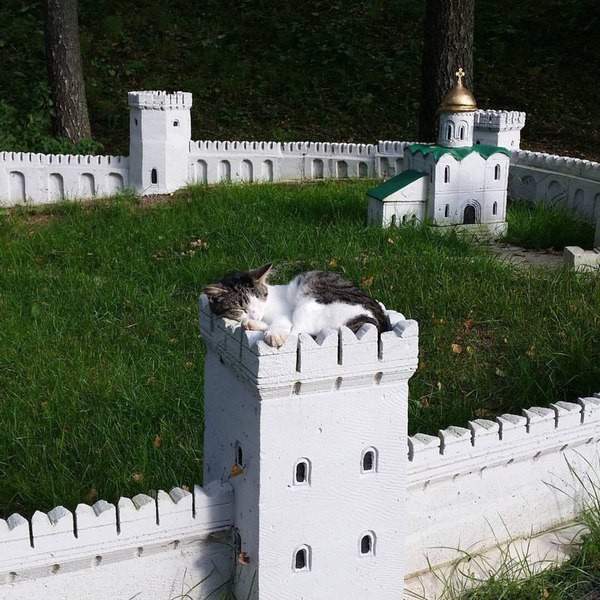 Кот Баюн на охране Китеж-Гграда.