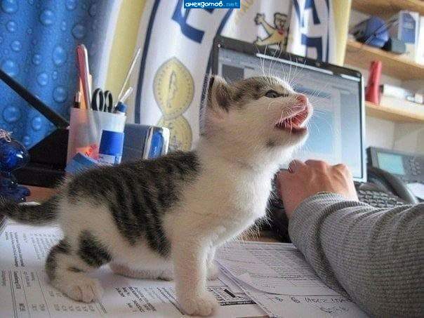 А 5 минут уже прошло?
