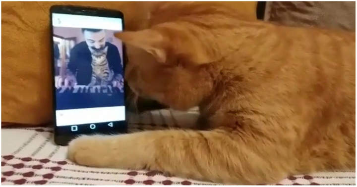 Компромат прислали...