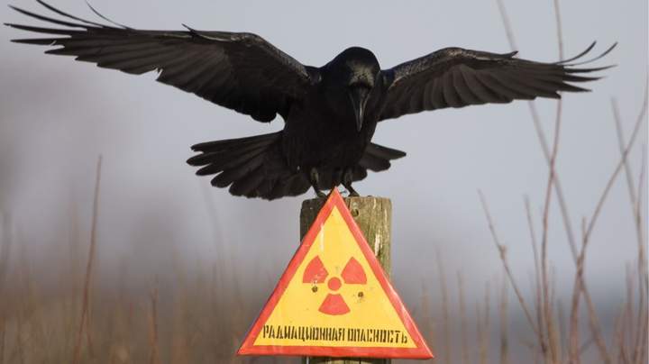 Куда ты прешься, Stalker...
