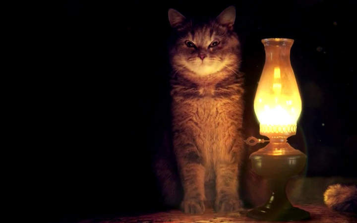 - Ты спи, спи. Я просто на тебя посмотрю...