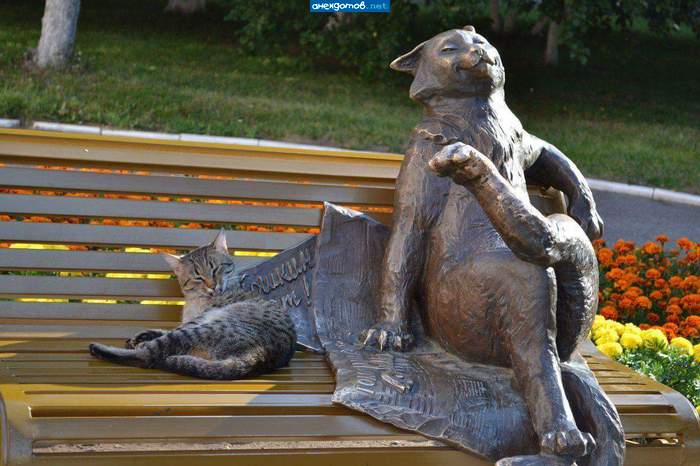 Ребят, это Йошкин Кот из Йошкар-Олы