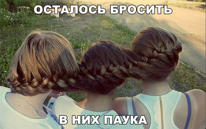 Три дуры