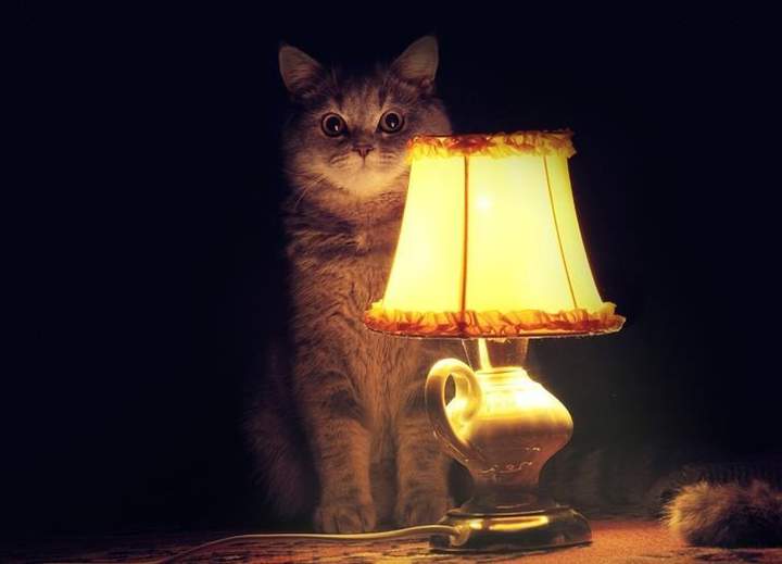 Ночной дозор