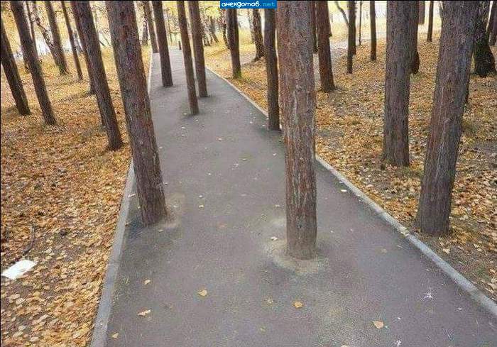 Столбовая дорога