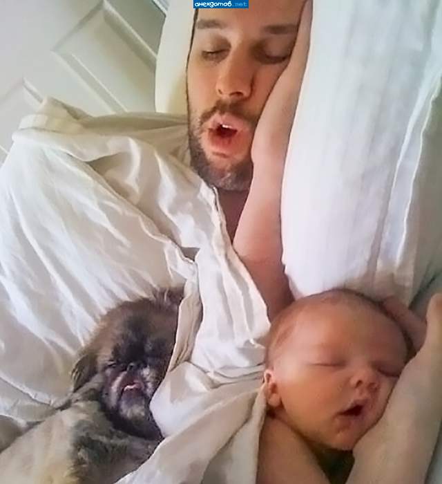 Сонное царство....