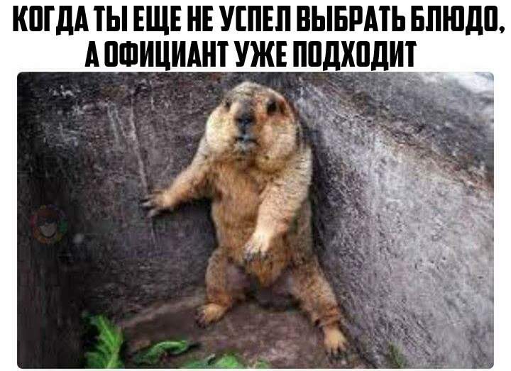 Беззащитна природа перед натиском человека