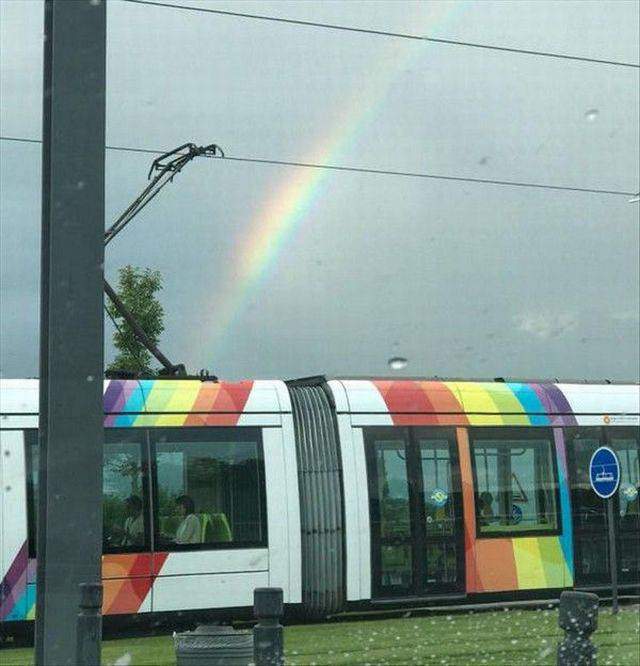 А она заразная? Не....