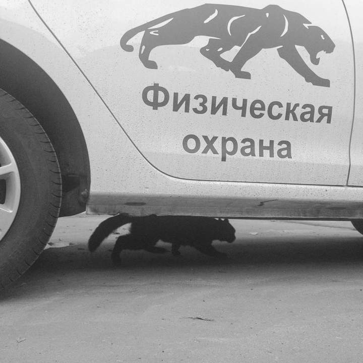 Прячется от Физической охраны...
