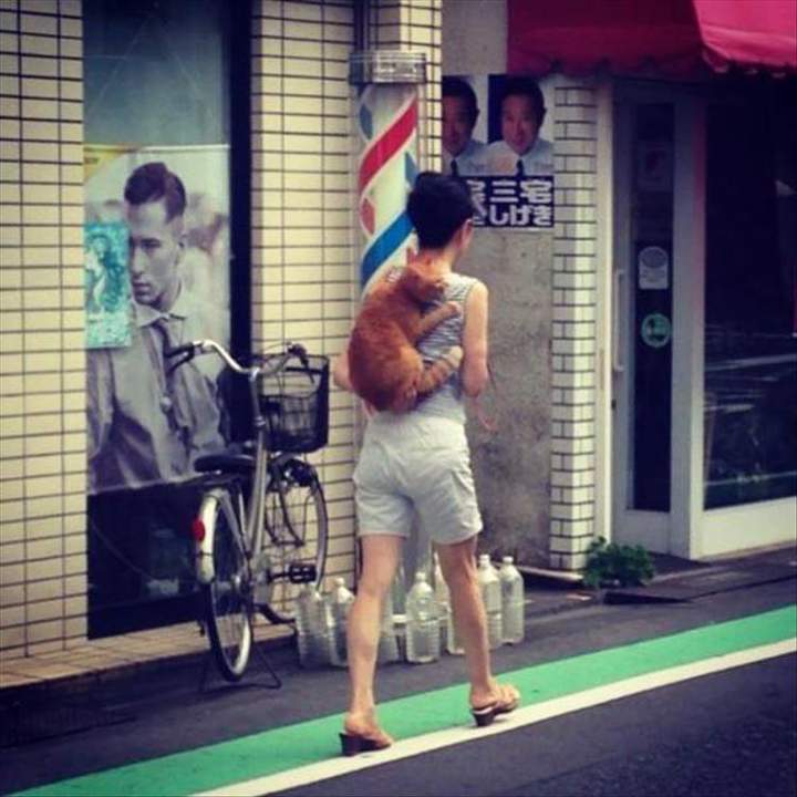 Зацепер