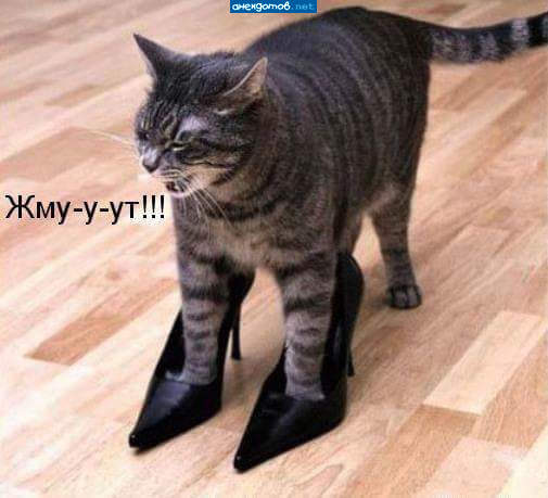 А подать мне тапочки!!!