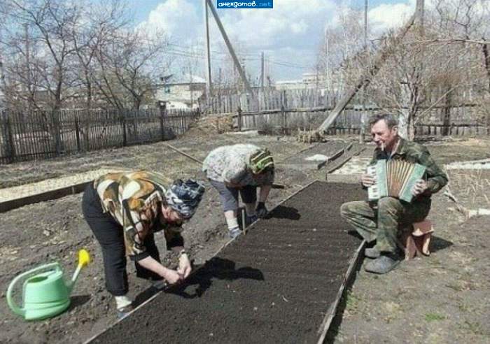 А че делать - вдруг война, а я усталый!!!