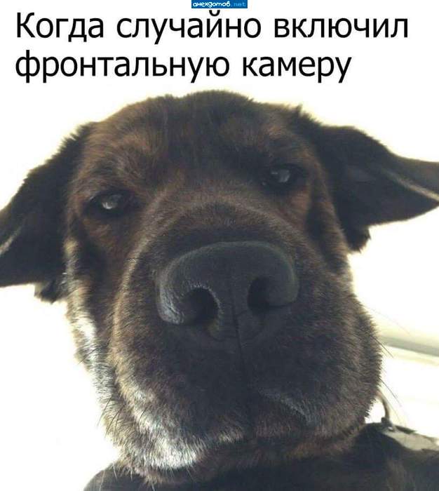 - Мужчина, конечная! Поезд идет в депо!