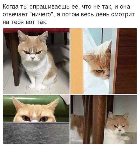 Я не злопамятный. Просто злой и память хорошая.