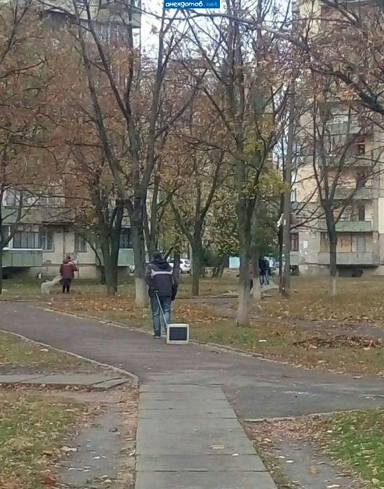 Тренируется, обещали собаку купить когда научится