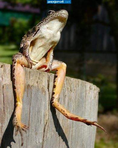 Ну, где ты, Ваня....?