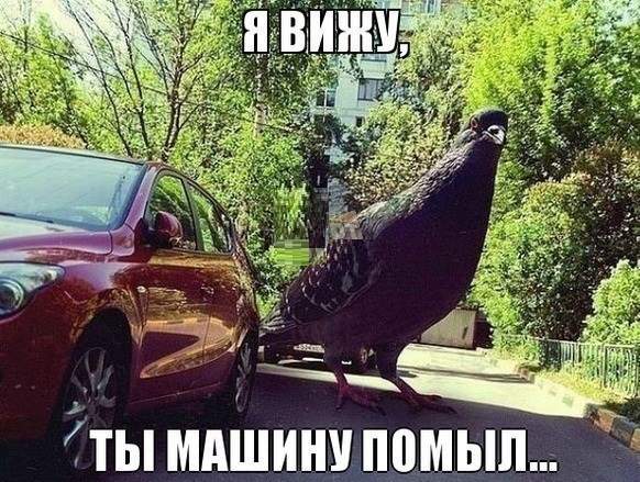 Я вижу, ты машину помыл...