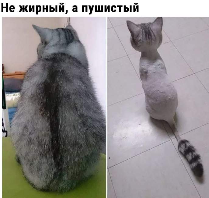 Жалко зверушку...