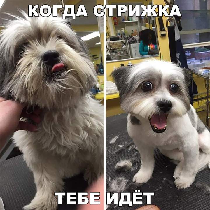 А потом увидел ценник.