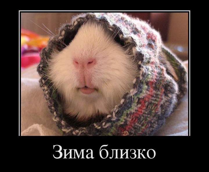 Бабушка близко, а не зима....