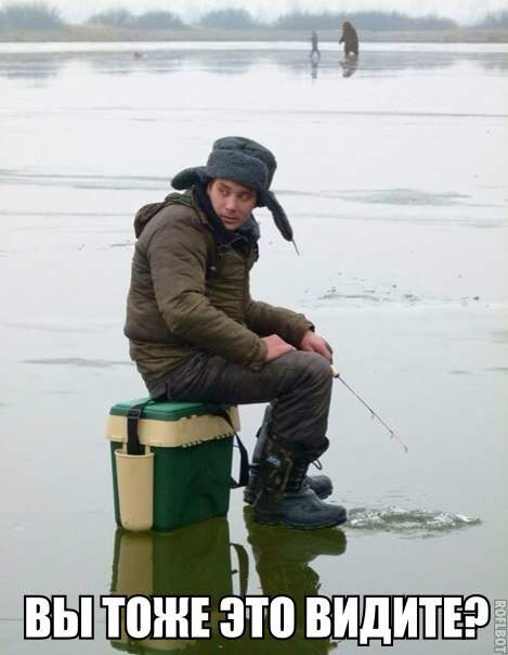 На ловца и зверь бежит