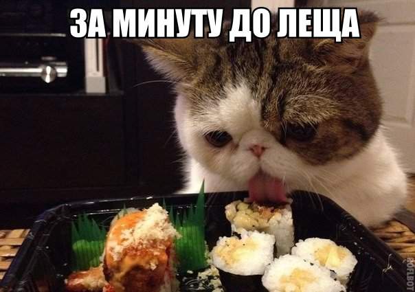 какая гадость - ваша заливная рыба!