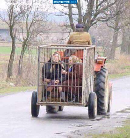 Столько бешеных бабок! Пришлось прислать инкассаторскую машину.