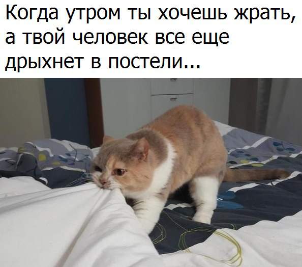 За 5 секунд до пендаля