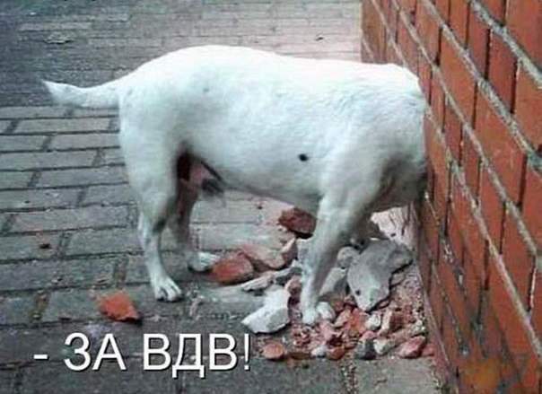 Давай за вас, давай за нас, и за десант и за спецназ