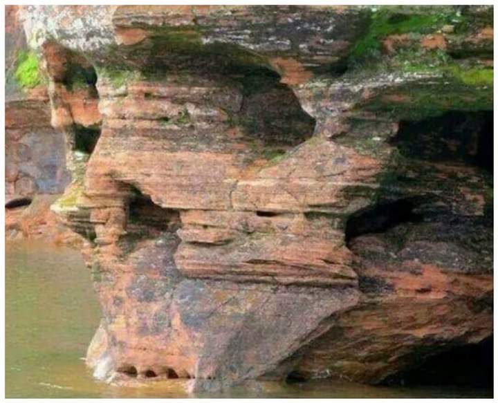 Бедный Йорик