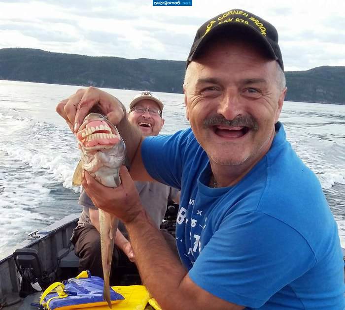 По этим сразу видно - Водку с собой брали!!!