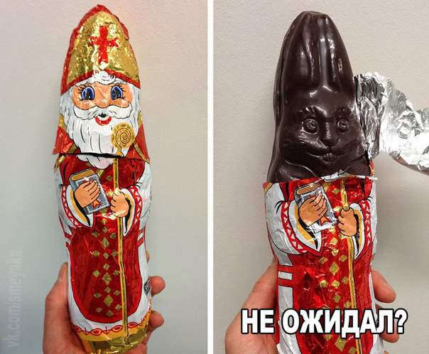Я шоколадный заяц и вкусный я мерзавец...