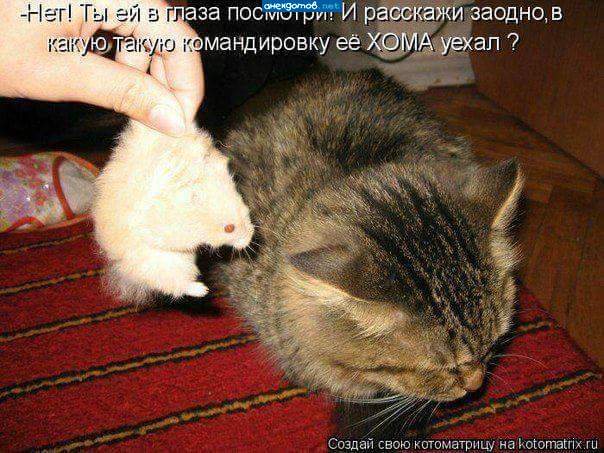 Не ем я эту гадость!!Икры мне,икры..