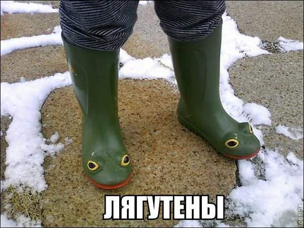 Жаболотники.