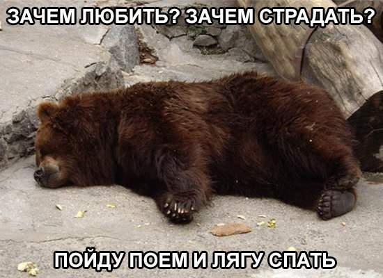 решил сделать утреннюю гимнастику. Лег на пол- проснулся в апреле