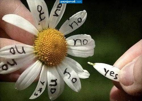 угадай листочек за 100 баксов...