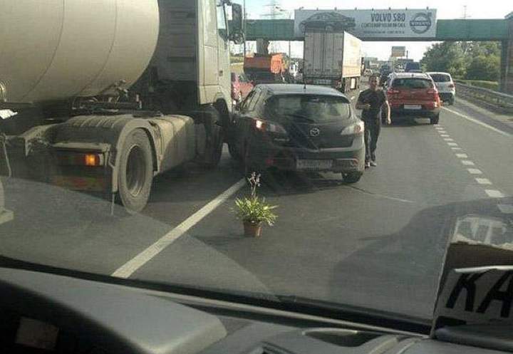 Выставлен цветок аварийной остановки