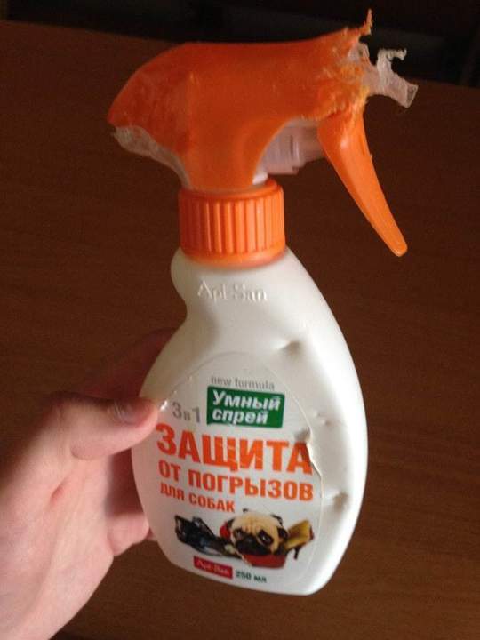 Собака еще умнее.